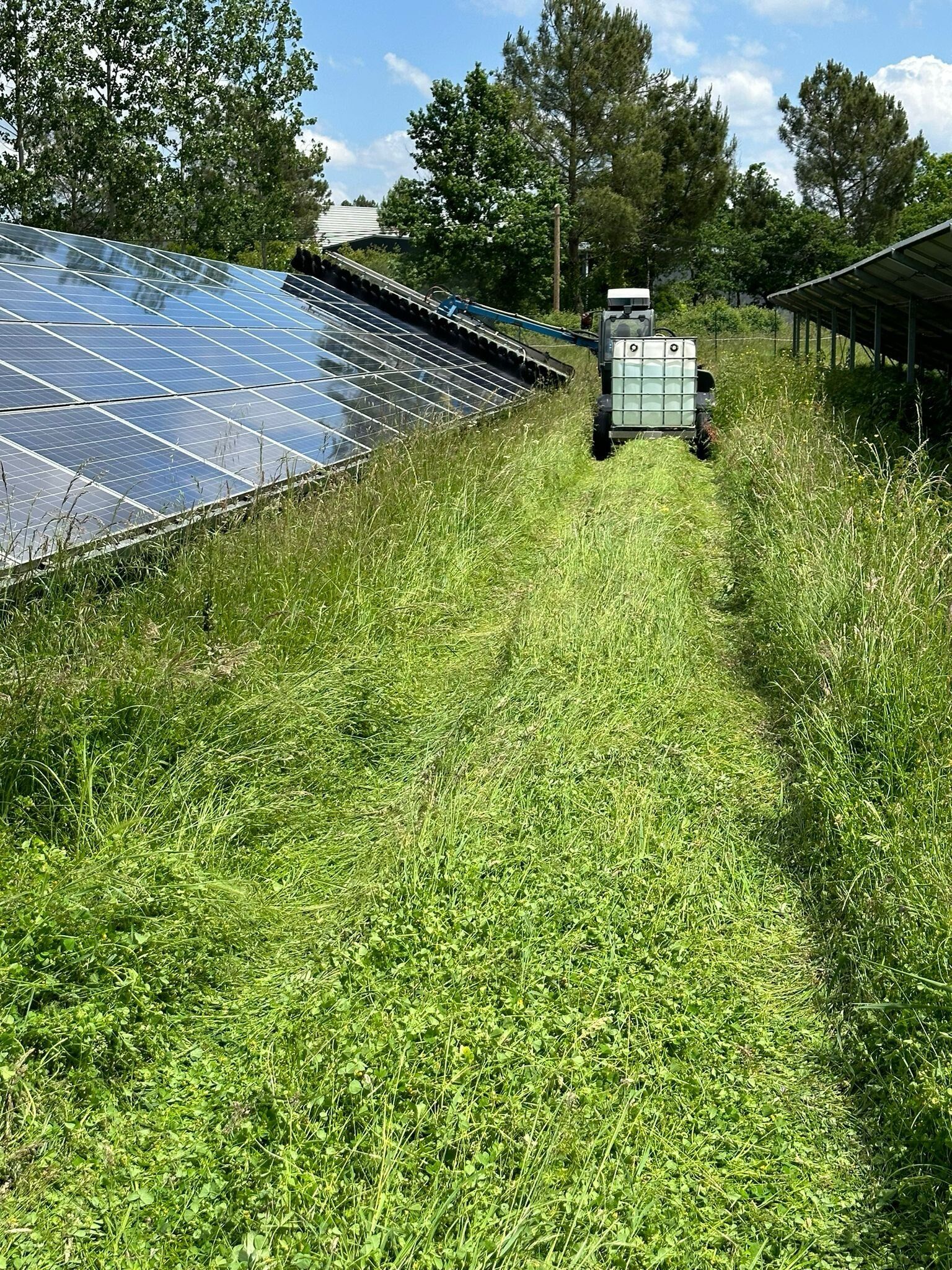 Solarpark Reinigung in Aktion